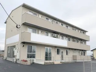 ピーノ スミレ Aの画像