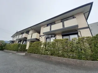 カメリアの画像