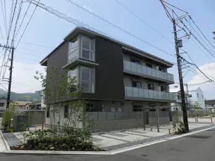 ベイスリーの画像