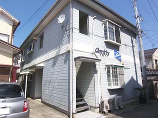 アミティの画像