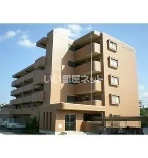 Y M HAYASHIの画像