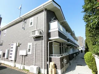 サンスウィートの画像