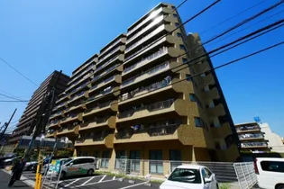 ツイン コートの画像