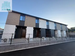 サンシルクトゥーミーの画像