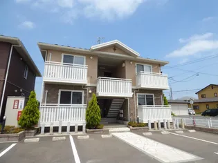 フォレットアモールAの画像