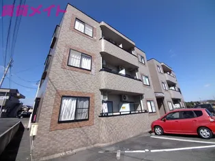 ドルフこものの画像