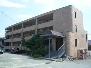 ウィステリーの画像