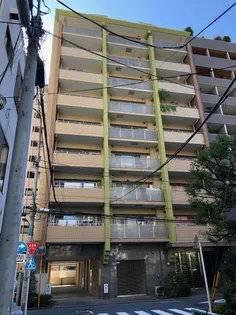 パレステュディオ新宿御苑の画像