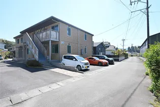 フローラAの画像