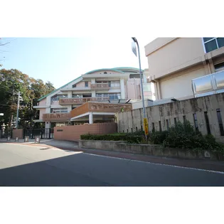 パルコーポ真鍋【1階】の周辺