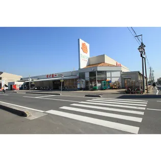 パルコーポ真鍋【1階】の周辺