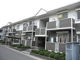 ひまわりBの画像