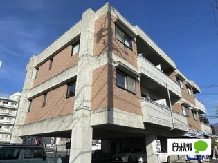 カーサ オクシブシライタの画像