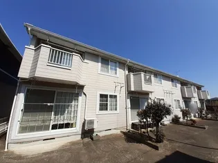 エヴァーグリーンの画像