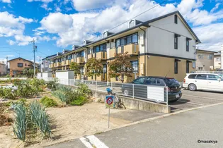 グレイス ランドの画像