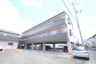 徳島県阿南市宝田町平岡【マンション】の外観