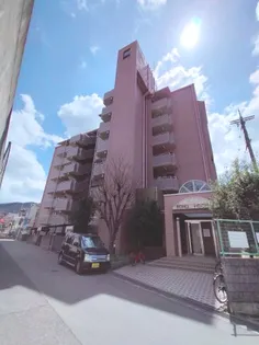 エコーハイツの画像