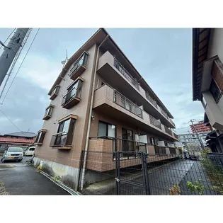 スイートローズ杉山の画像