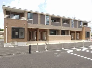 プリムローズの画像