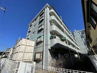 アフィニス原木の画像