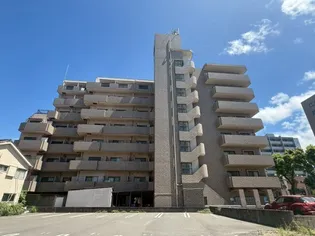 ステラ21の画像