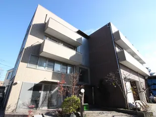 THE DEVELOPING PLACEの画像