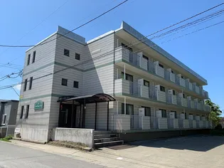 シャローム クンの画像