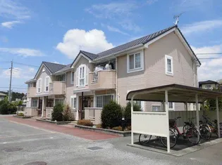 ヴァン アビターレの画像