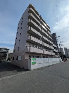 ロハス星川の画像