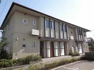 プルメリアの画像