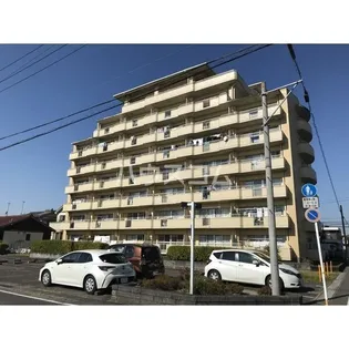 ラジョーヌの画像