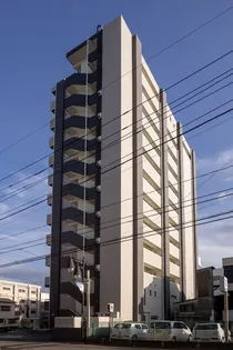 桜木ーMSKの画像