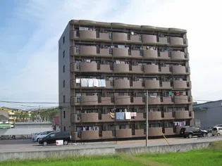 アステールの画像