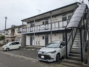 パールーAの画像