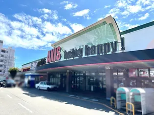 岩崎ハイツII【3階】の周辺