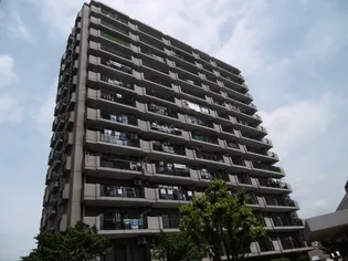 ライオンズガーデン花崎H棟【14階】の外観