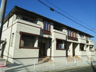 コッティMの画像