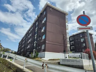 高津橋農住団地A棟の画像