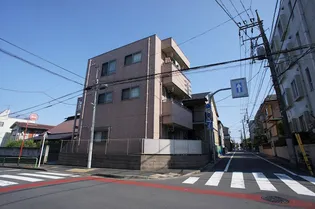 オリーブの画像