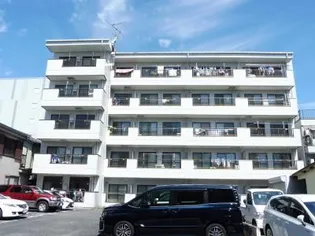 CAPRI YANAKAの画像