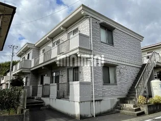 ソレイユの画像