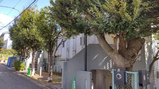 東京都大田区田園調布5【マンション】の外観