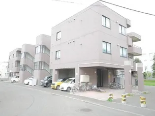 スノーアベニュー広和NO,12の画像