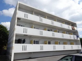 オレンジの画像