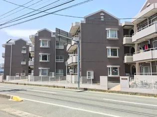 ゴールドパレスの画像