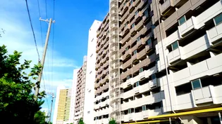 武庫川樹のまち 13号棟【14階】の外観