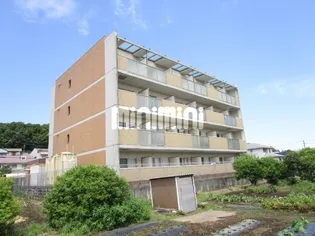 セレーノGF【2階】の外観