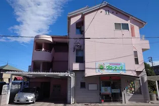 岐阜県岐阜市早田東町7【一戸建】の外観