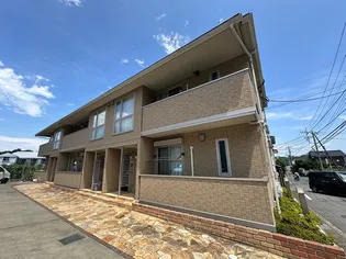 アムール1の画像