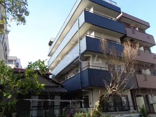 アミューズVの画像